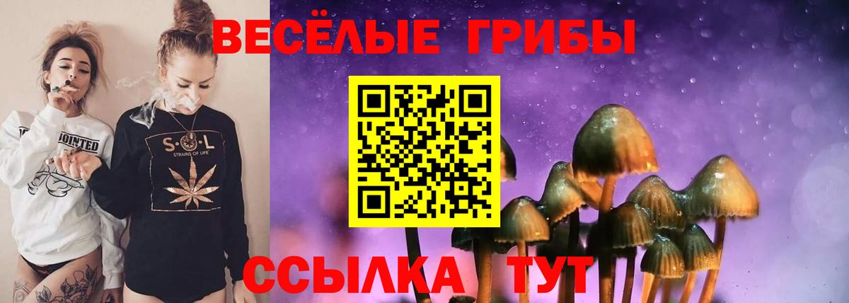 Галлюциногенные грибы прущие грибы  Галлюциногенные грибы Cubensis  Верхний Уфалей  Вход с VPN 